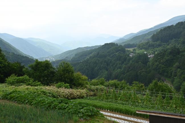 奈川の風景