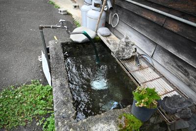 湧き水
