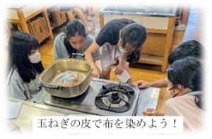 開智小2