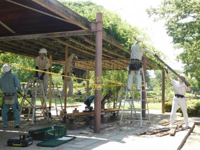 古い藤棚の撤去作業
