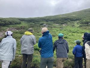 高山植物を学ぶ