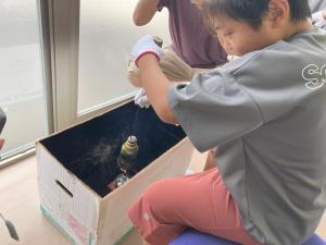 ペットボトル３