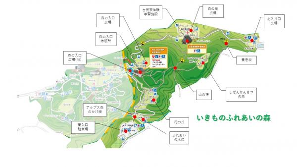 平面図