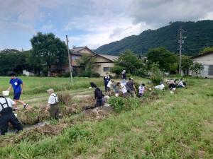 川に入り生きものを探している様子