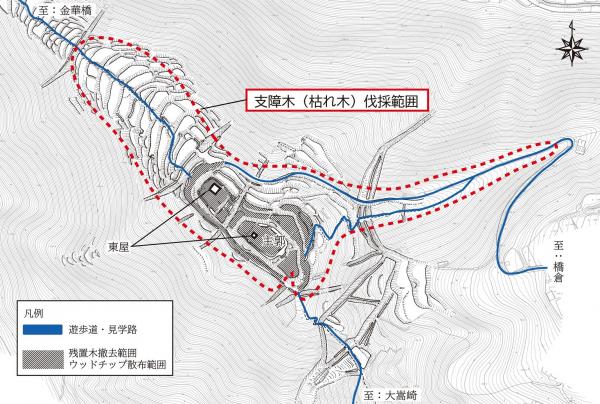 伐採範囲の図(拡大図)