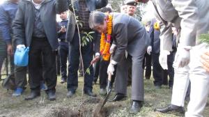 植樹する菅谷市長