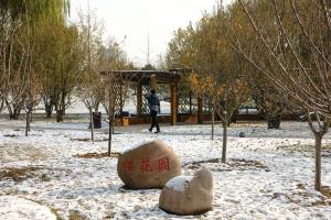 人民公園中日友好桜園