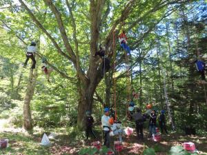 ツリーイング画像