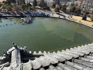 浚渫の様子(天守6階から)