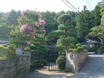 自然景観と調和した住宅写真1