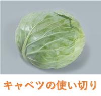 キャベツ使い切り