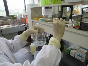 水質検査の様子