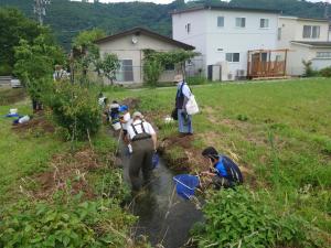 川の生きものを探している様子