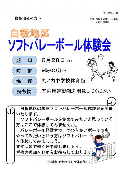 6月28日　日曜日実施　ソフトボール体験会ちらし