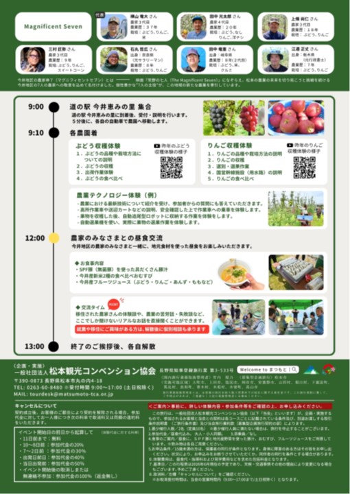 チラシ裏面