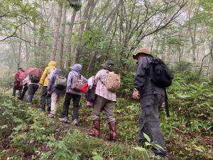 登山道を歩いている様子