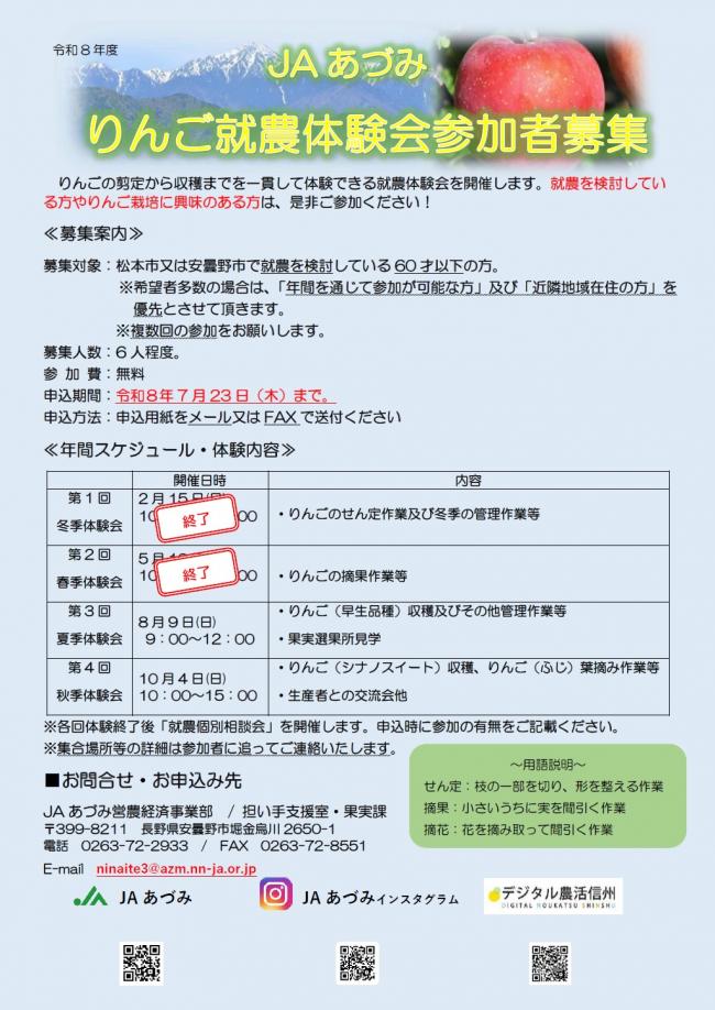 チラシ