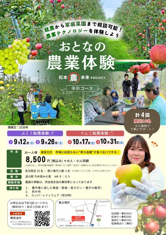 チラシ