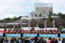 写真：春の観桜会・お花見太鼓