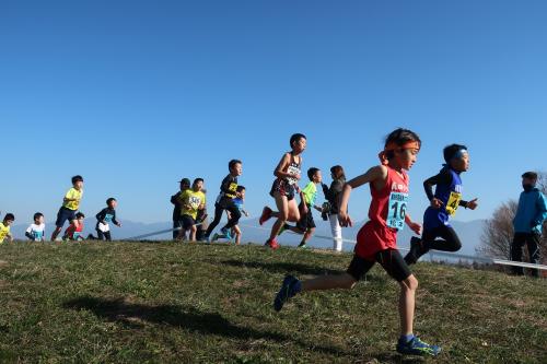 松本クロスカントリー大会の様子