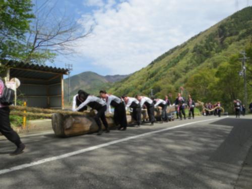 令和5年大和合神社御柱祭　里引き