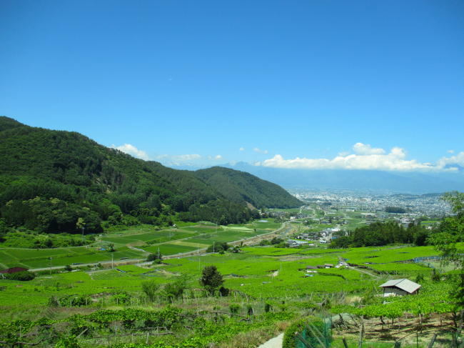 入山辺風景