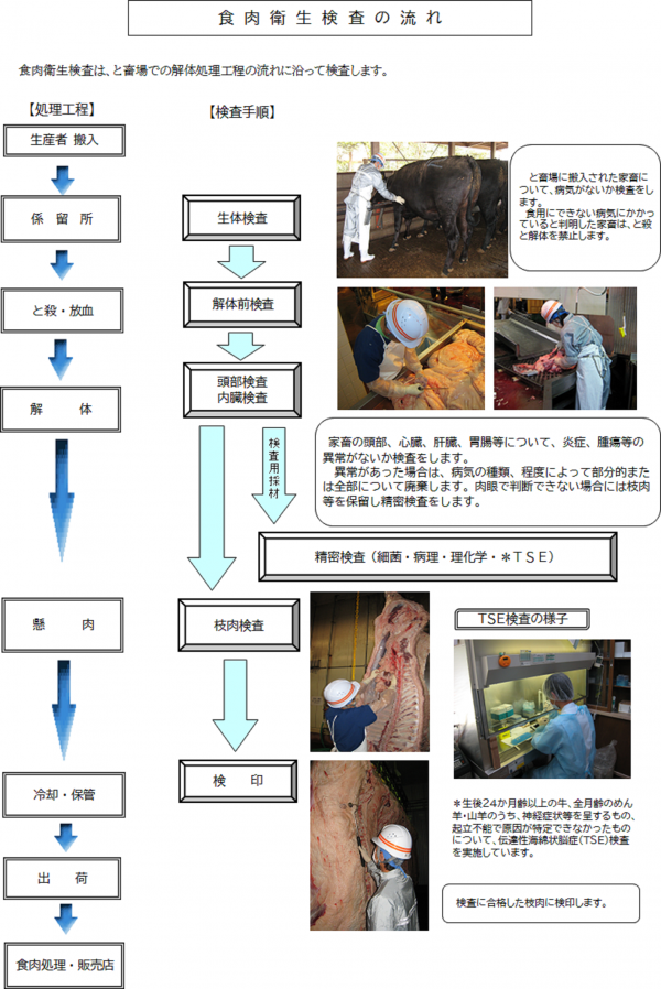 と畜検査の流れ図